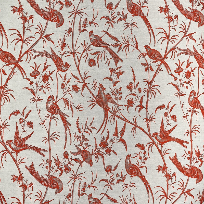 AMANDAVA – coloris Orange
