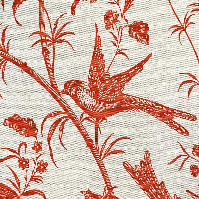 AMANDAVA – coloris Orange