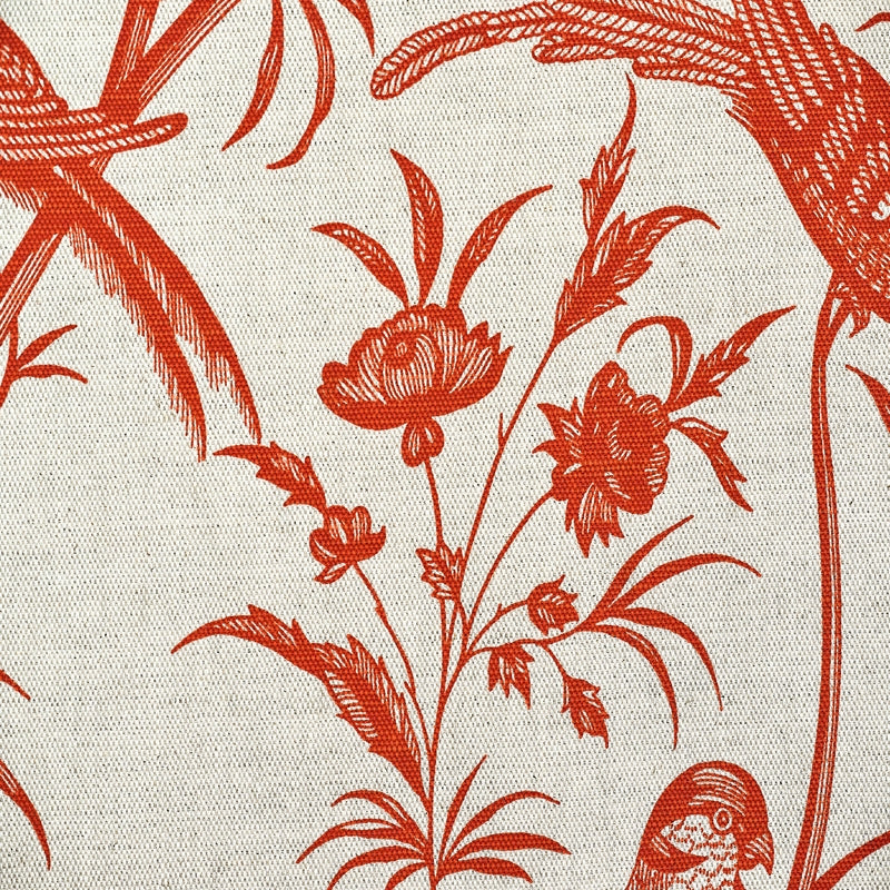AMANDAVA – coloris Orange