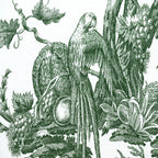 CAPUCIN – coloris Malachite
