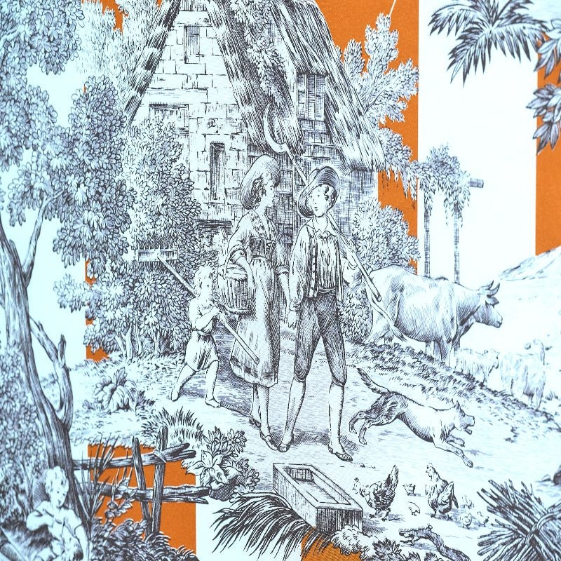 RAYURE DU MAINE – coloris Orange