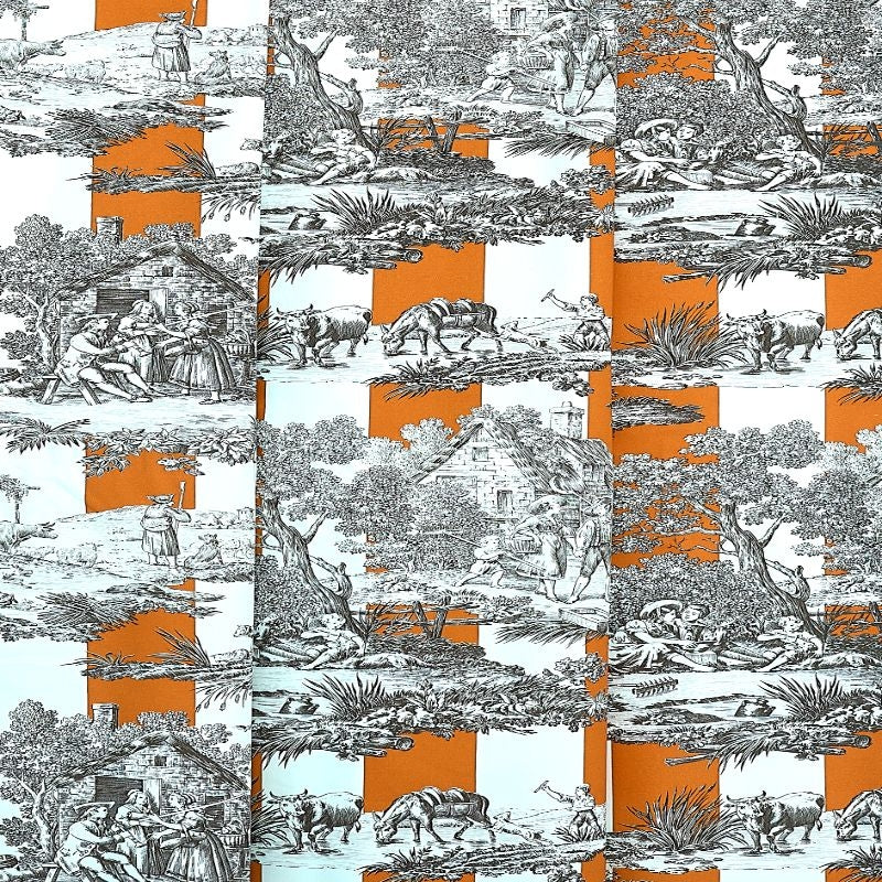 RAYURE DU MAINE – coloris Orange