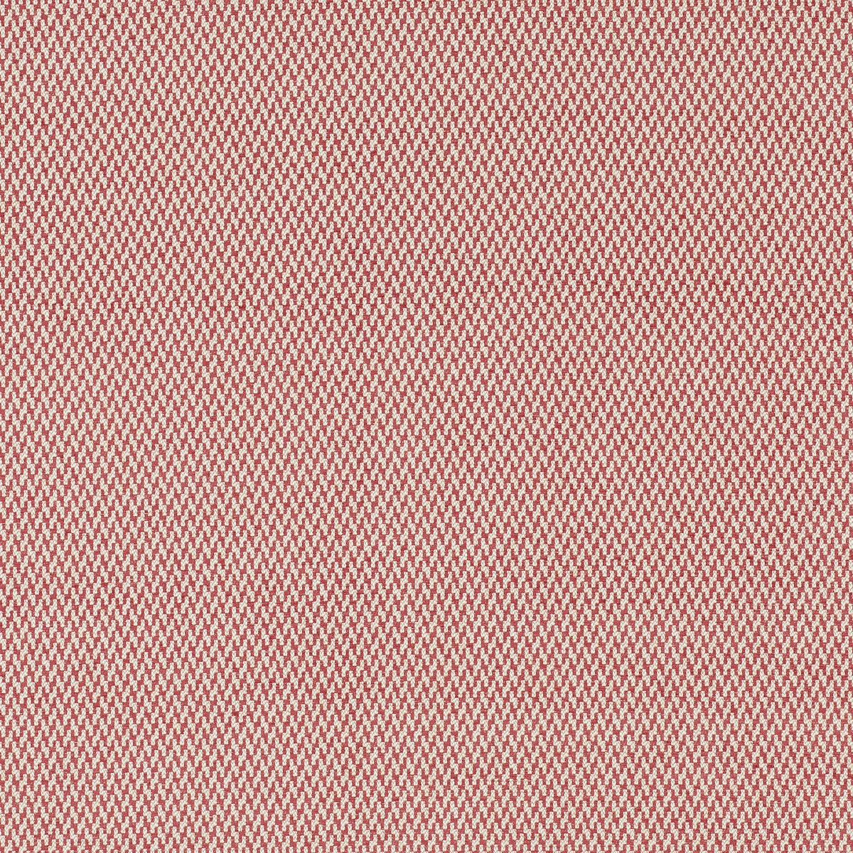 VIKING – coloris Rubis