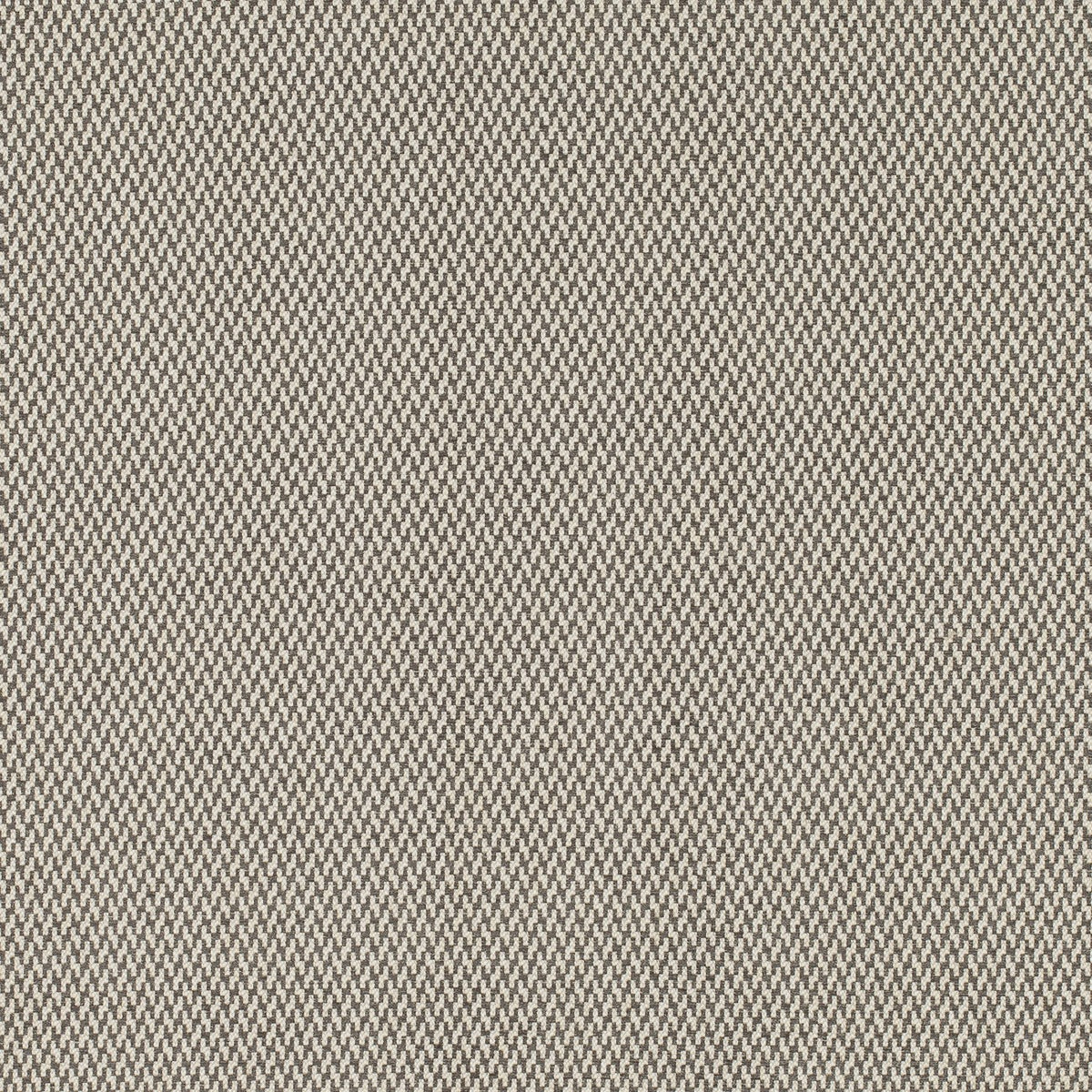 VIKING – coloris Graphite