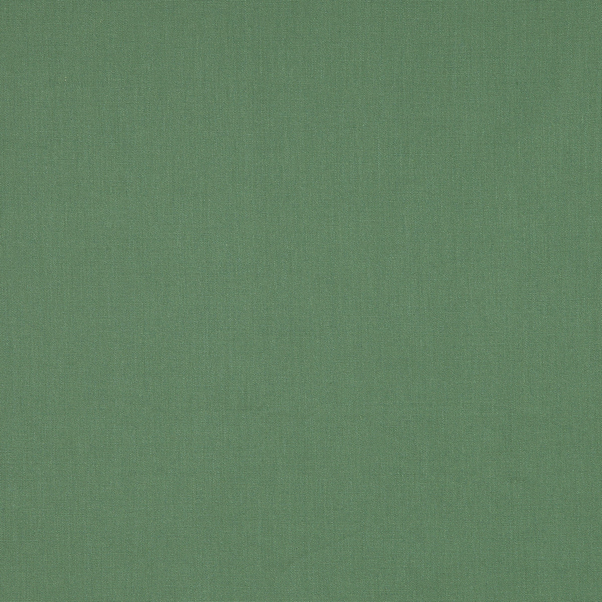 JANEIRO – coloris Chlorophylle