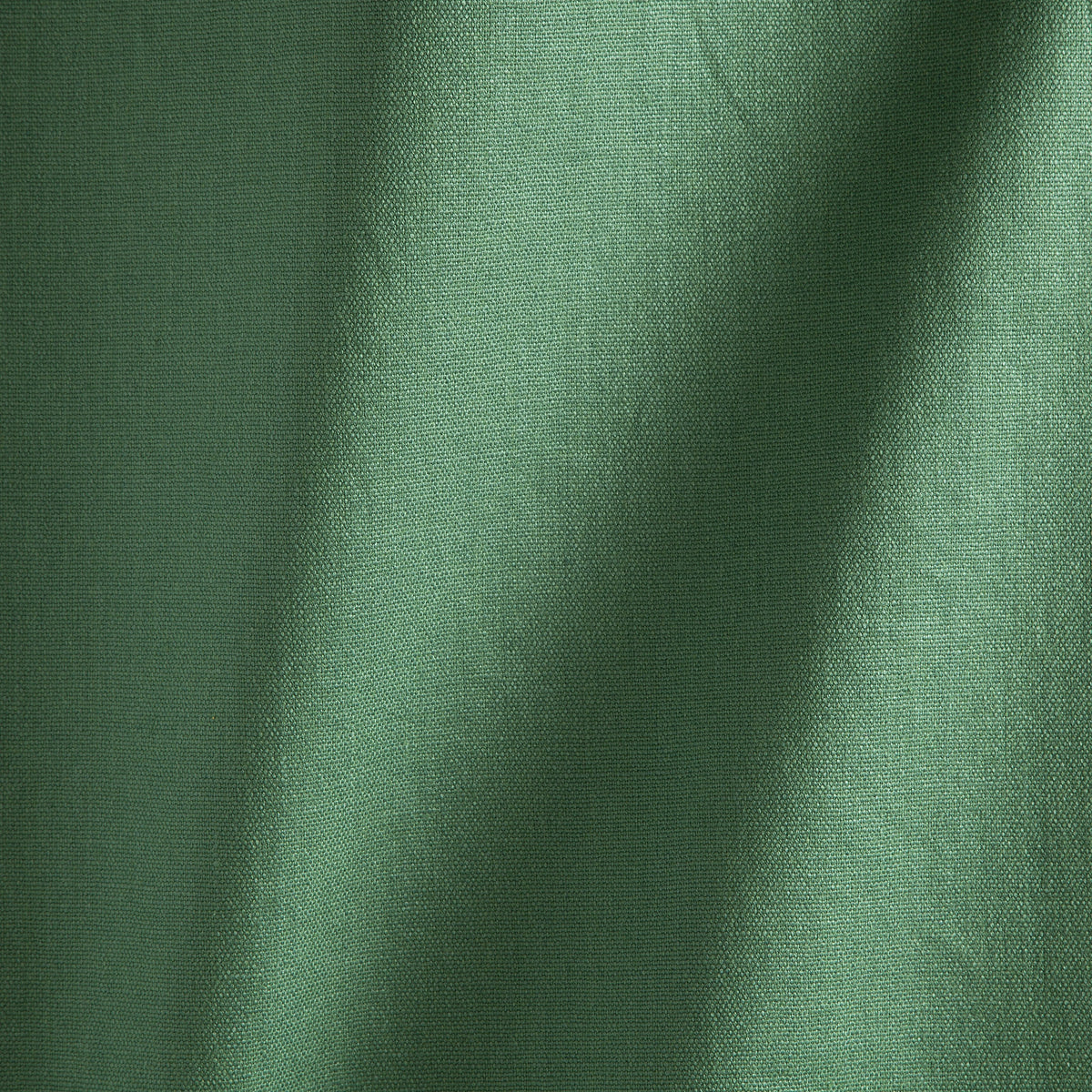 JANEIRO – coloris Chlorophylle
