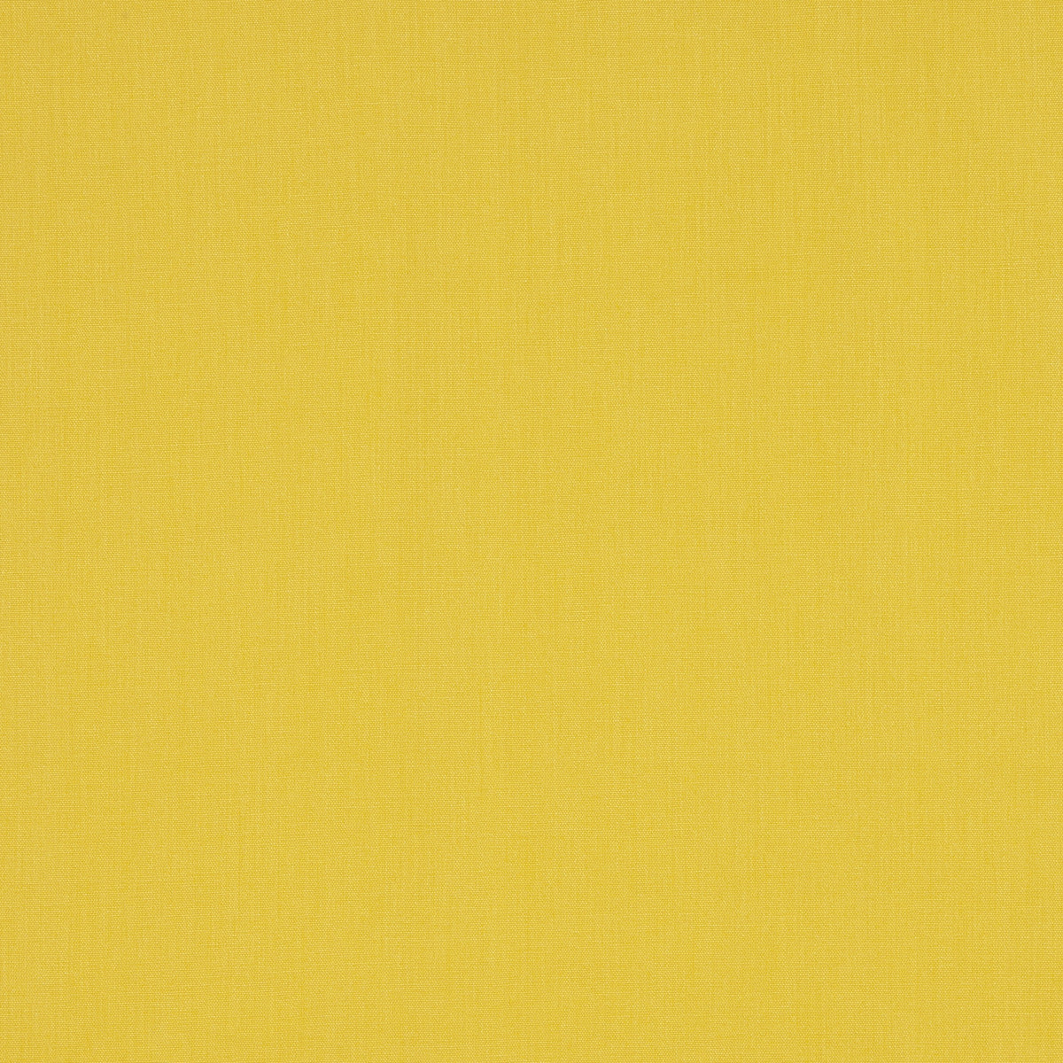 JANEIRO – coloris Tournesol