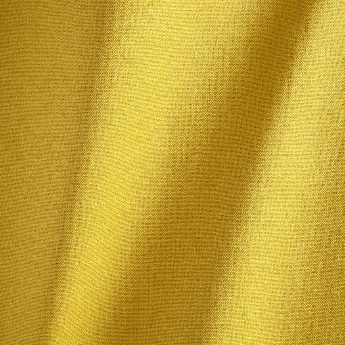 JANEIRO – coloris Tournesol