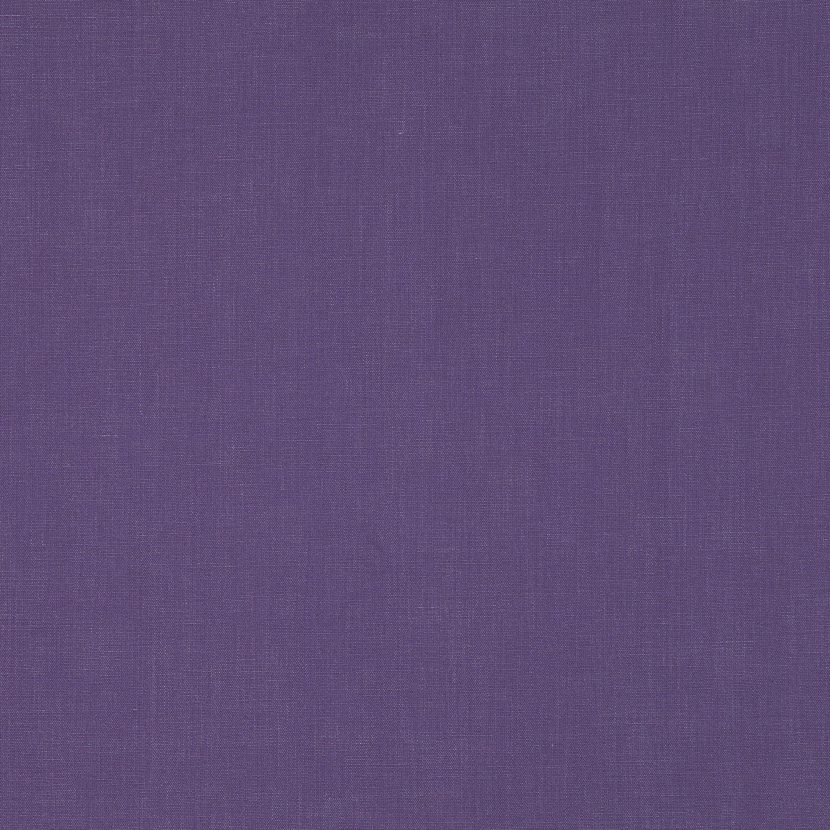 JANEIRO – coloris Amethyste
