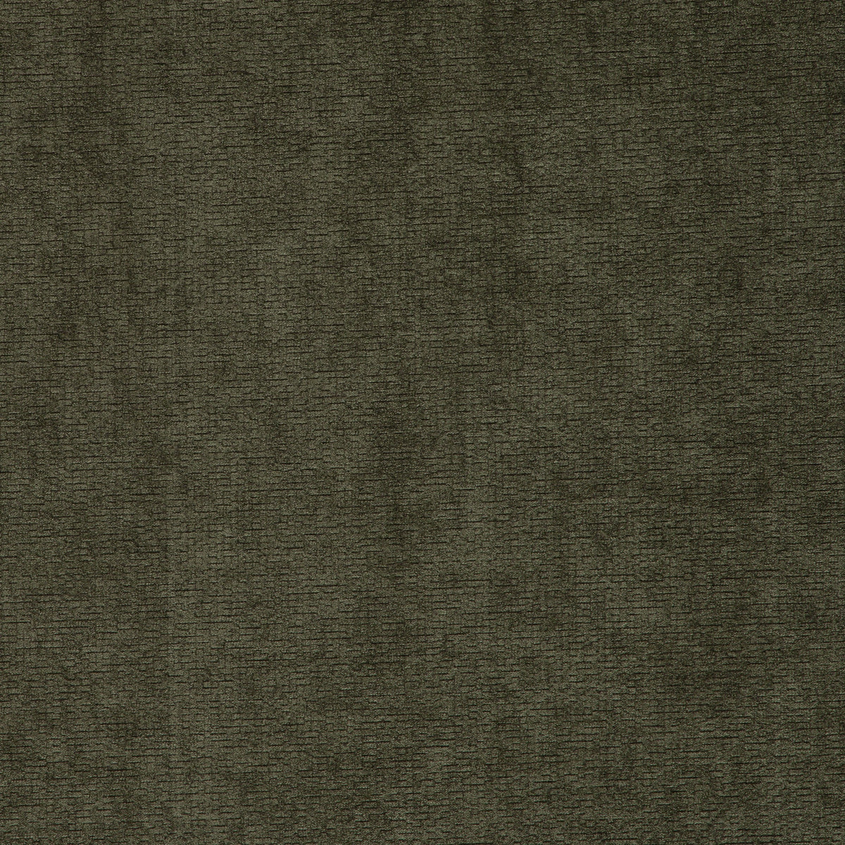 MILORD – coloris Kaki