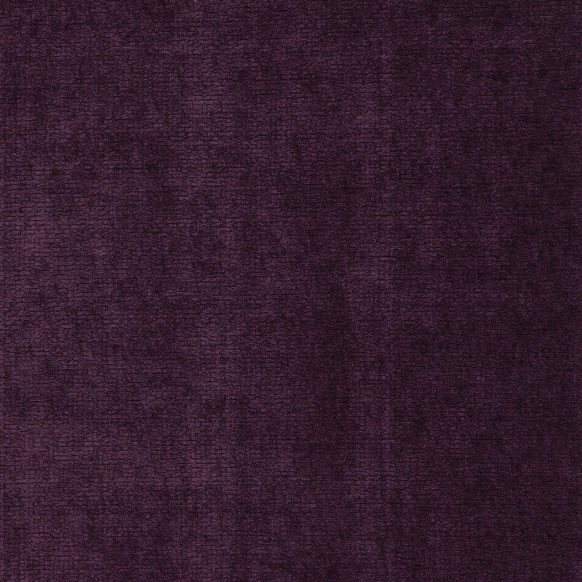 MILORD – coloris Prune