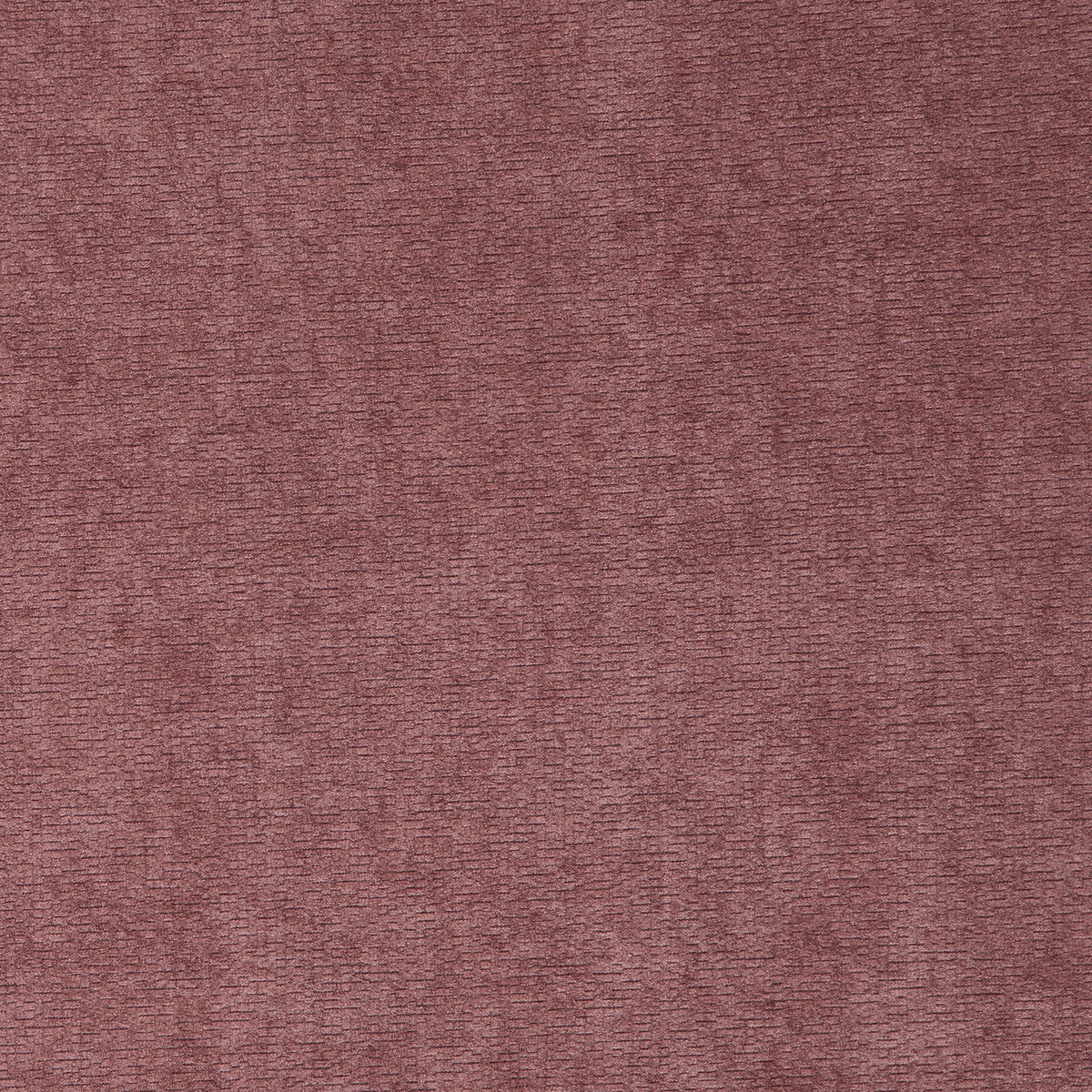 MILORD – coloris Rose anglais