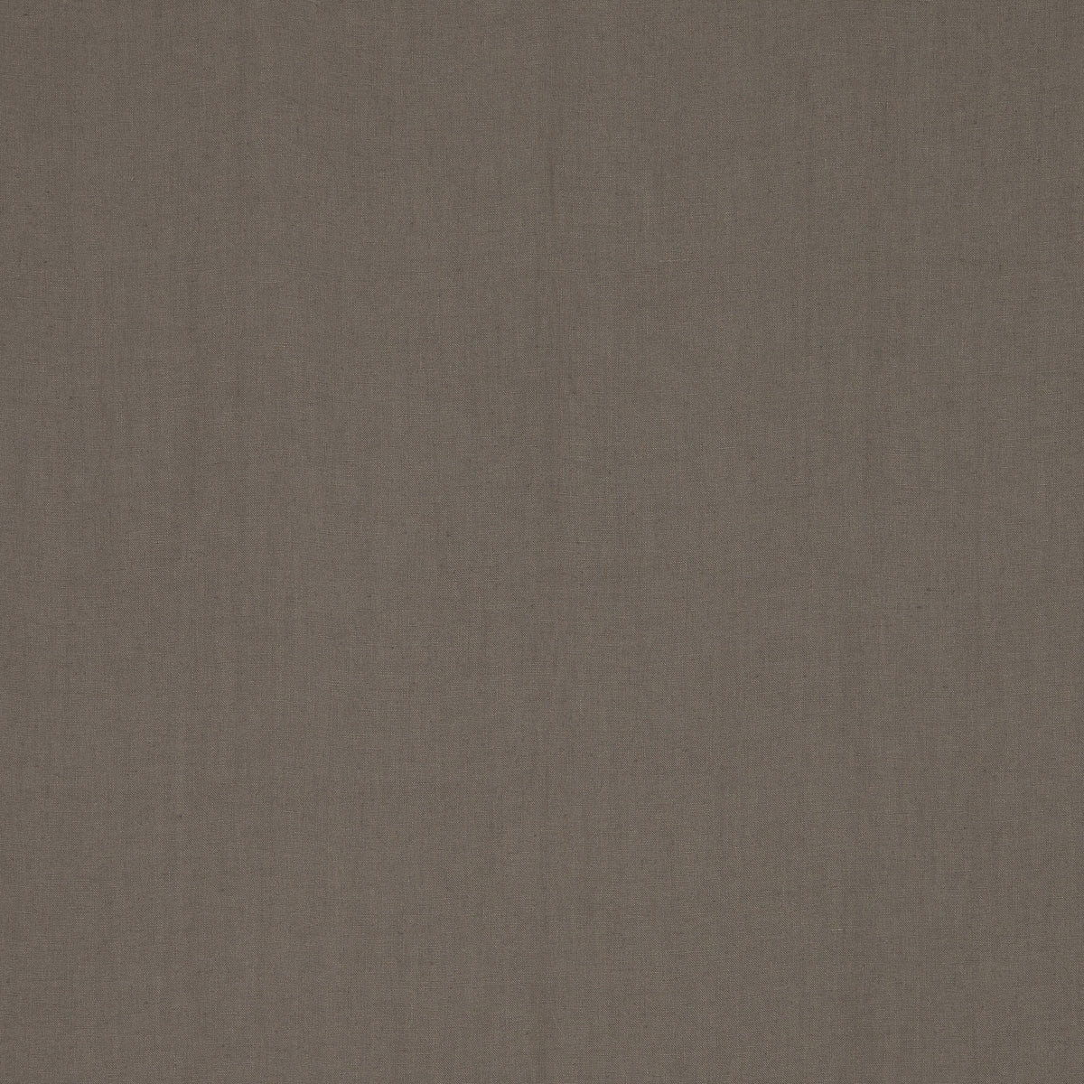 Coloris Coloris gris elephant