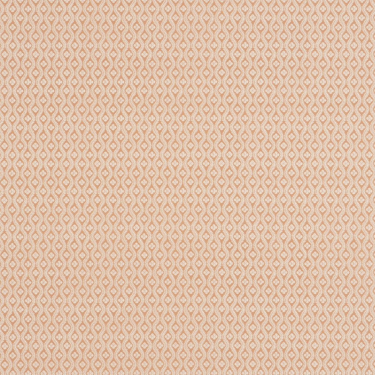 SOPHIA – coloris Rose poudre