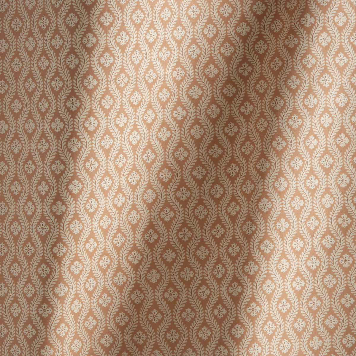 SOPHIA – coloris Rose poudre
