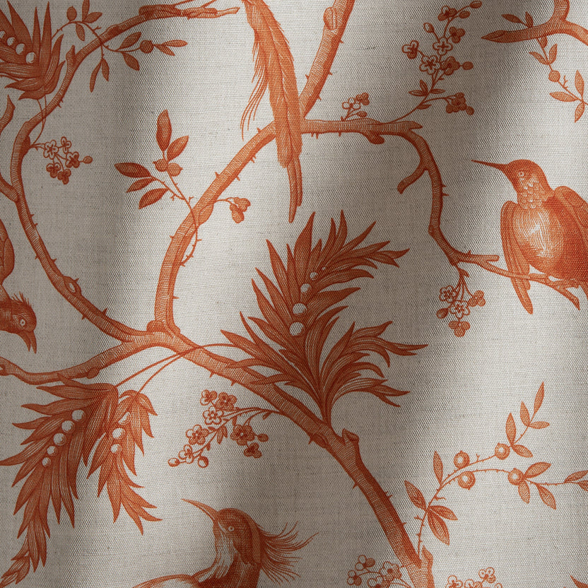 PARADISE – coloris Orange