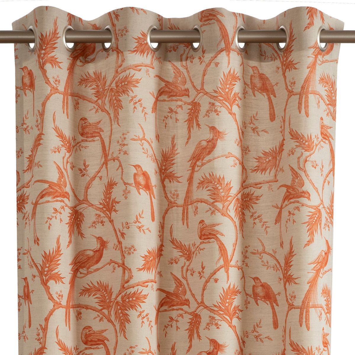 PARADISE – coloris Orange