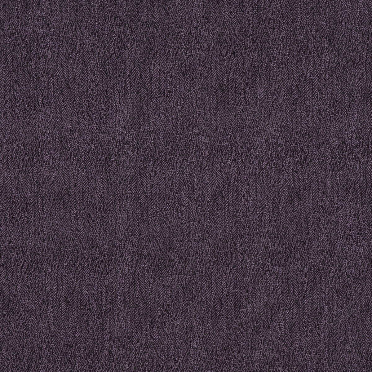 SEIGLE – coloris Amethyste