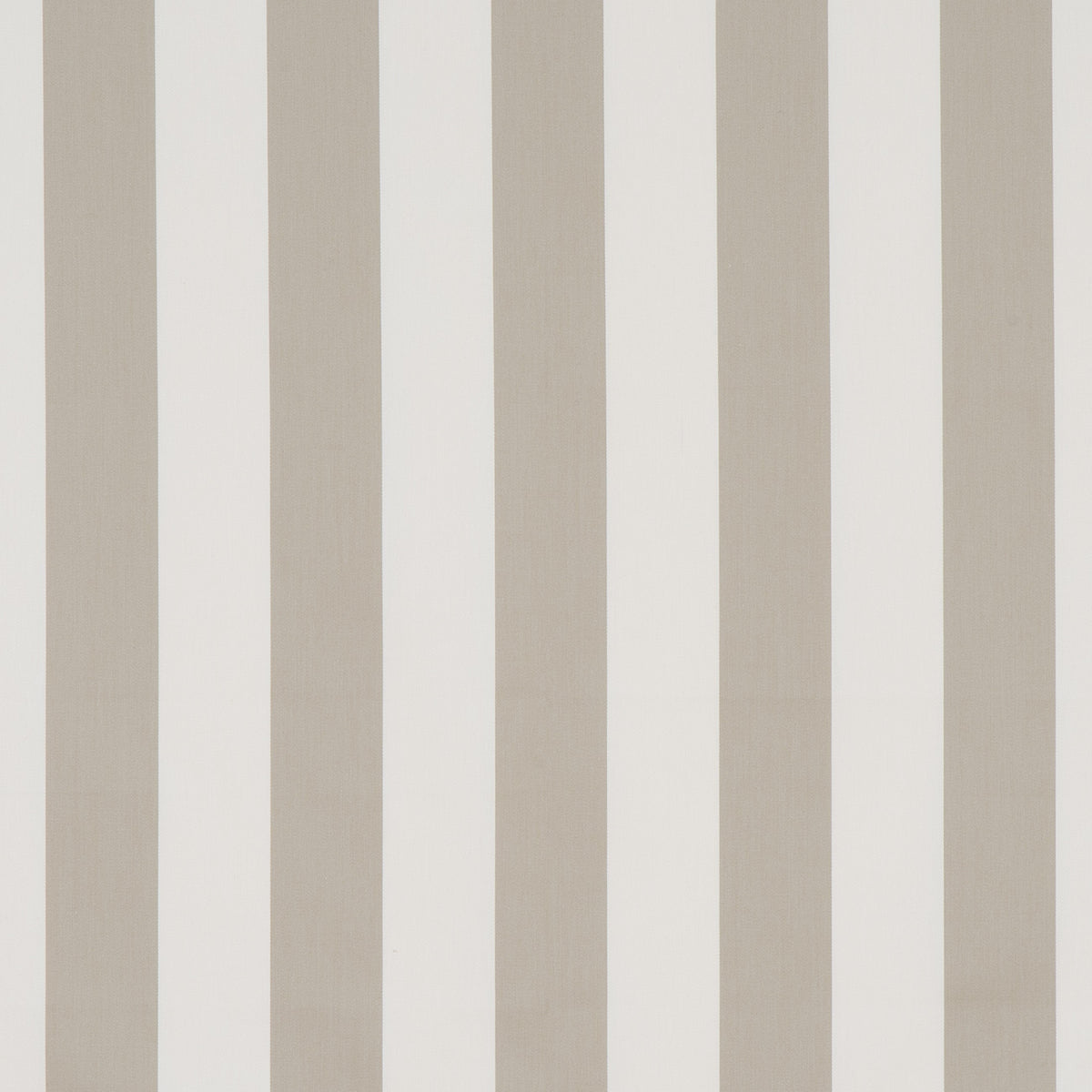 JAZZ – coloris Tourterelle