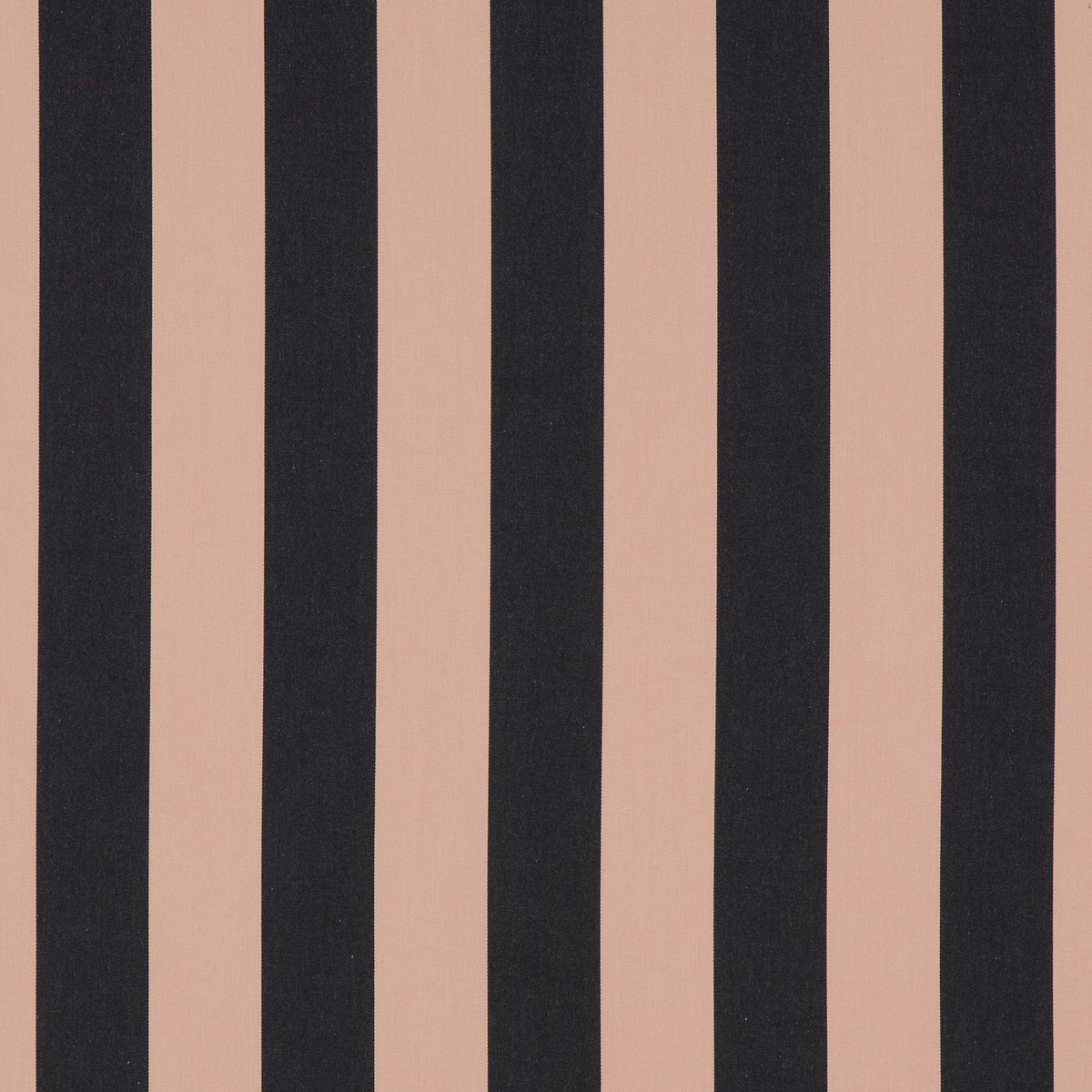JAZZ – coloris The noir