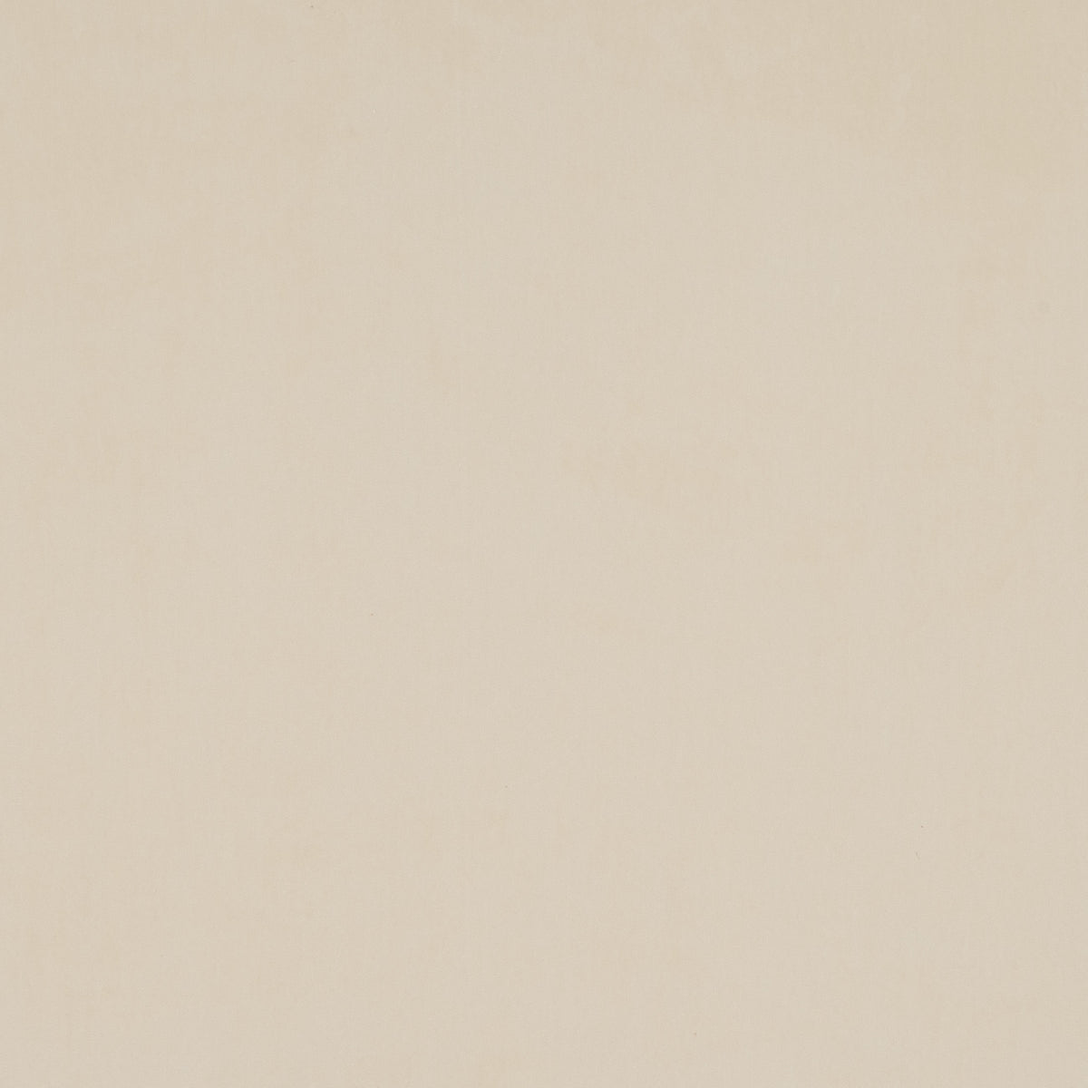 VADIM – coloris Creme