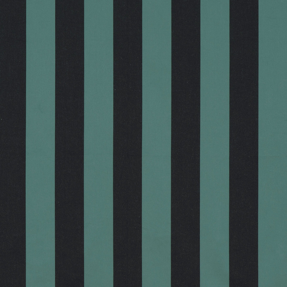 JAZZ – coloris Empire