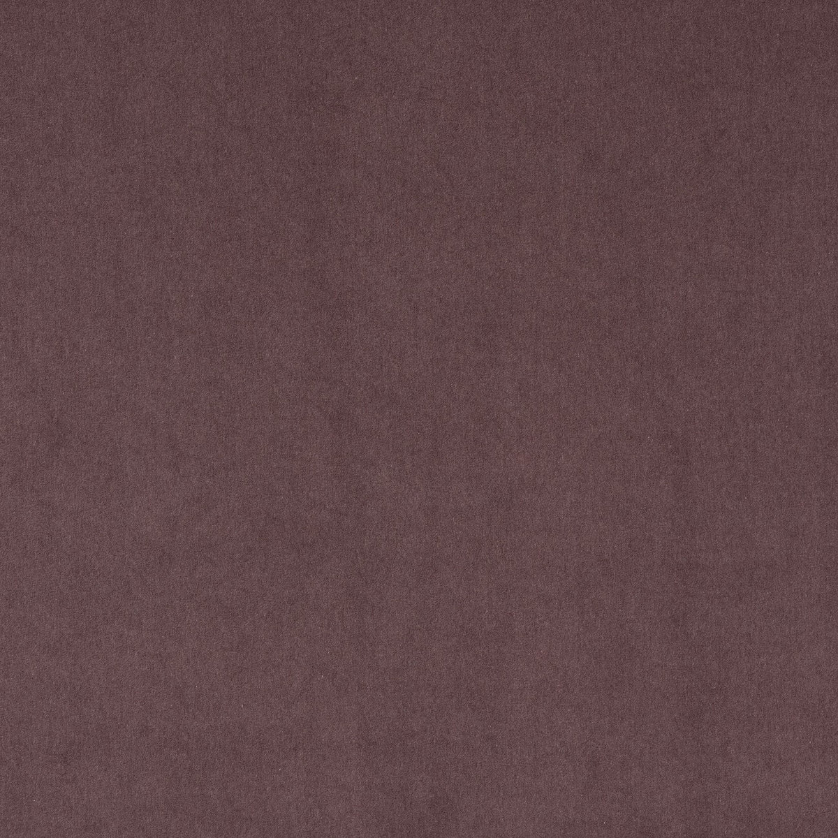 AZAY – coloris Bruyere
