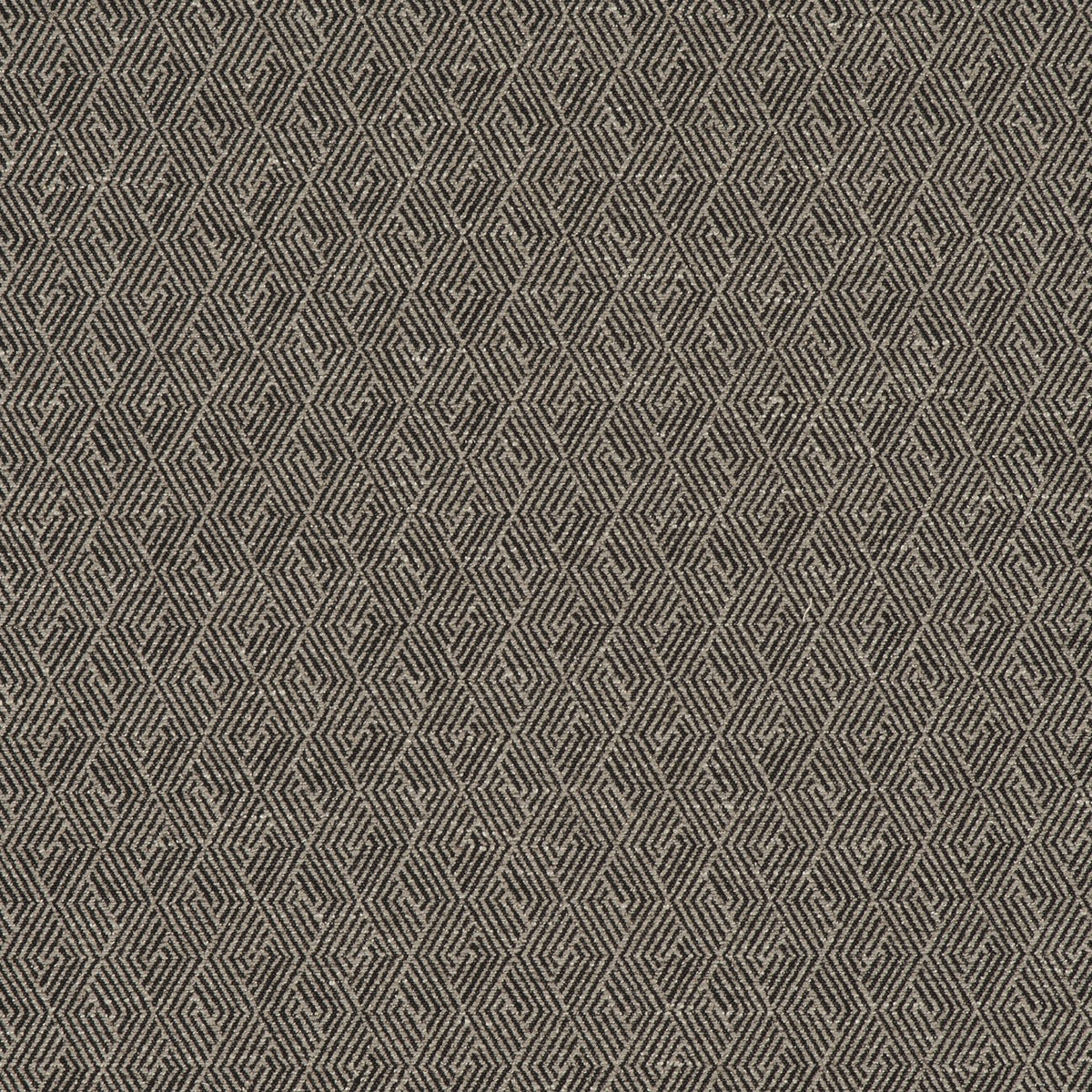 PAPYRUS – coloris Pie