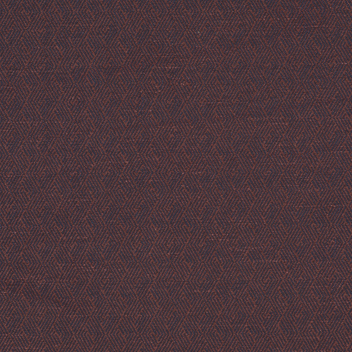 PAPYRUS – coloris Figue