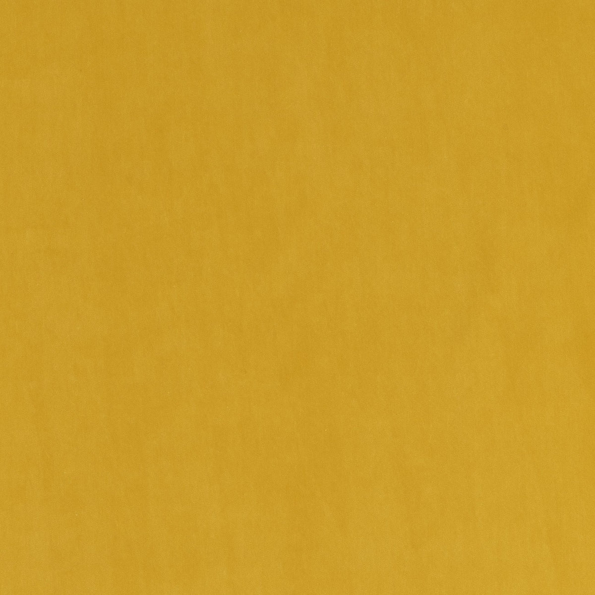 VADIM – coloris Tournesol