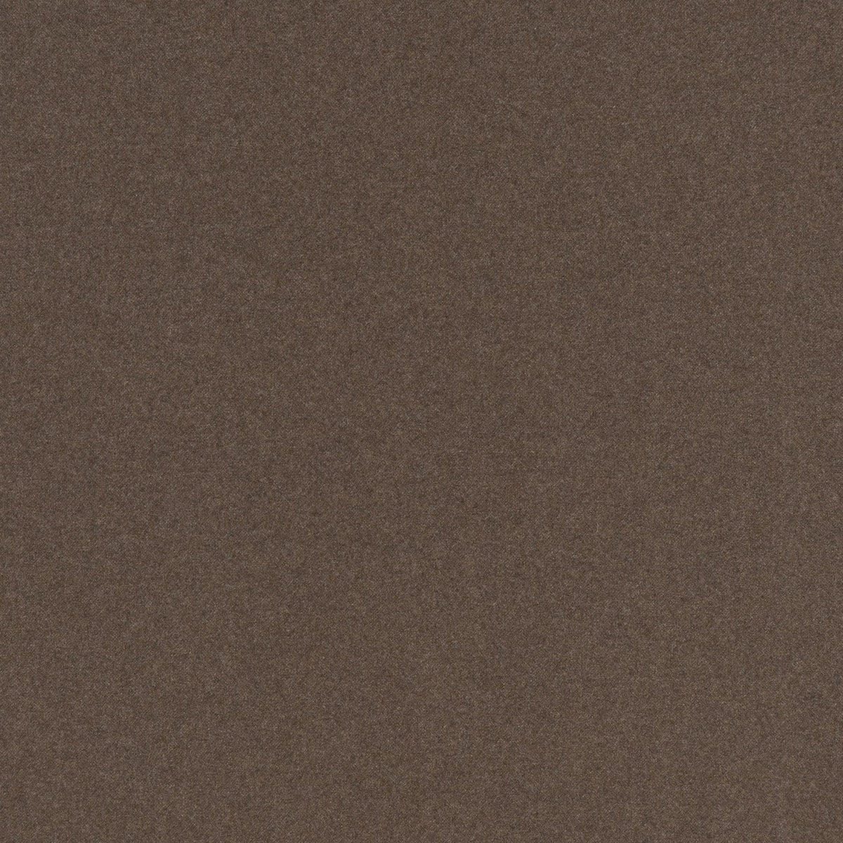 Edelweiss Grizzly - coupe de tissu EDW206