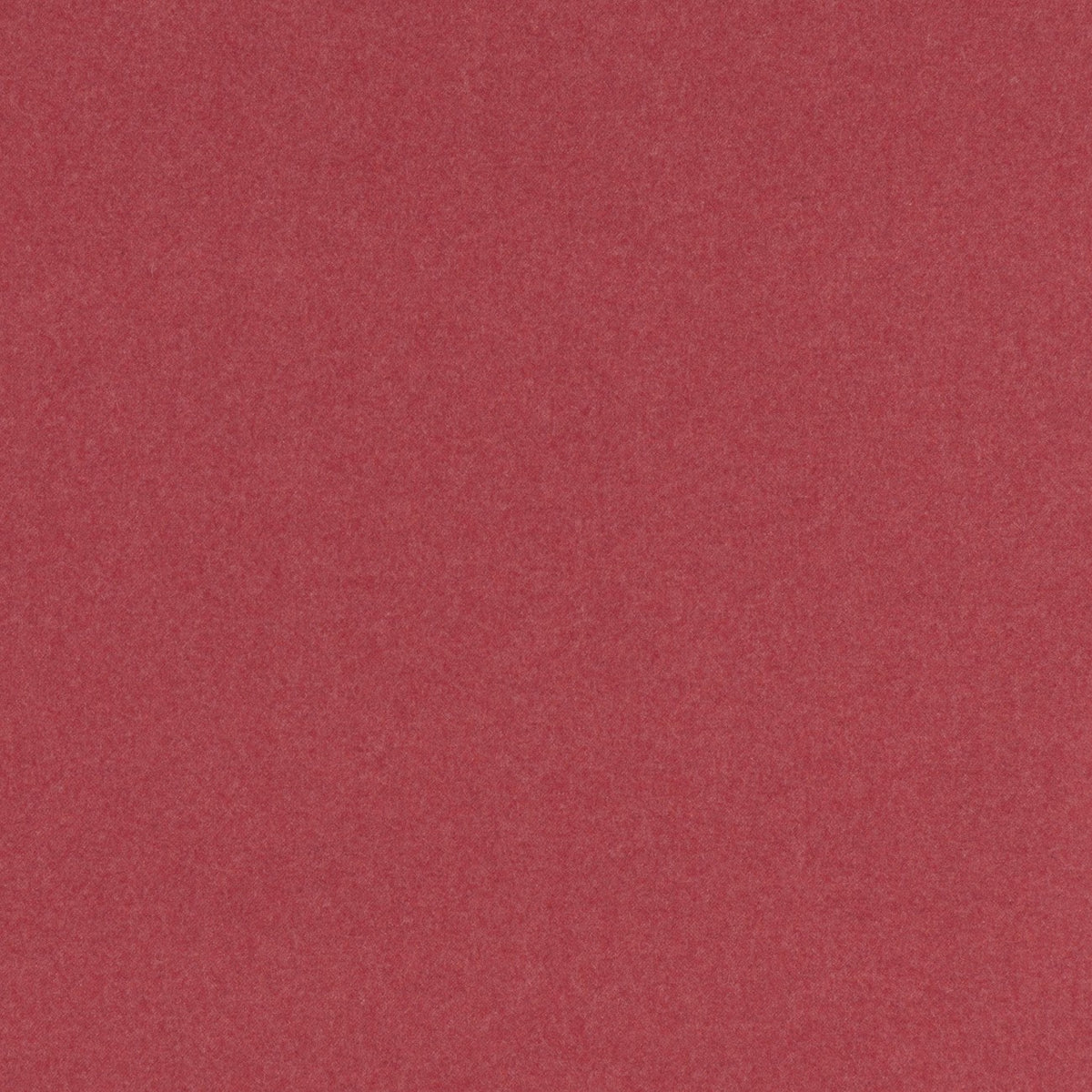 Edelweiss Grizzly - coupe de tissu EDW206