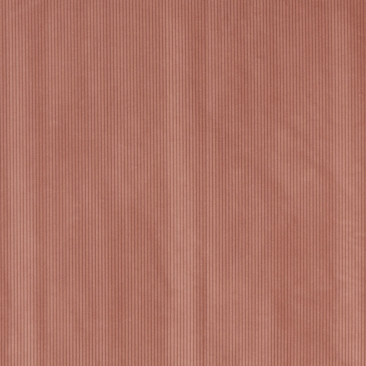 CORDUROY – coloris Rose petale