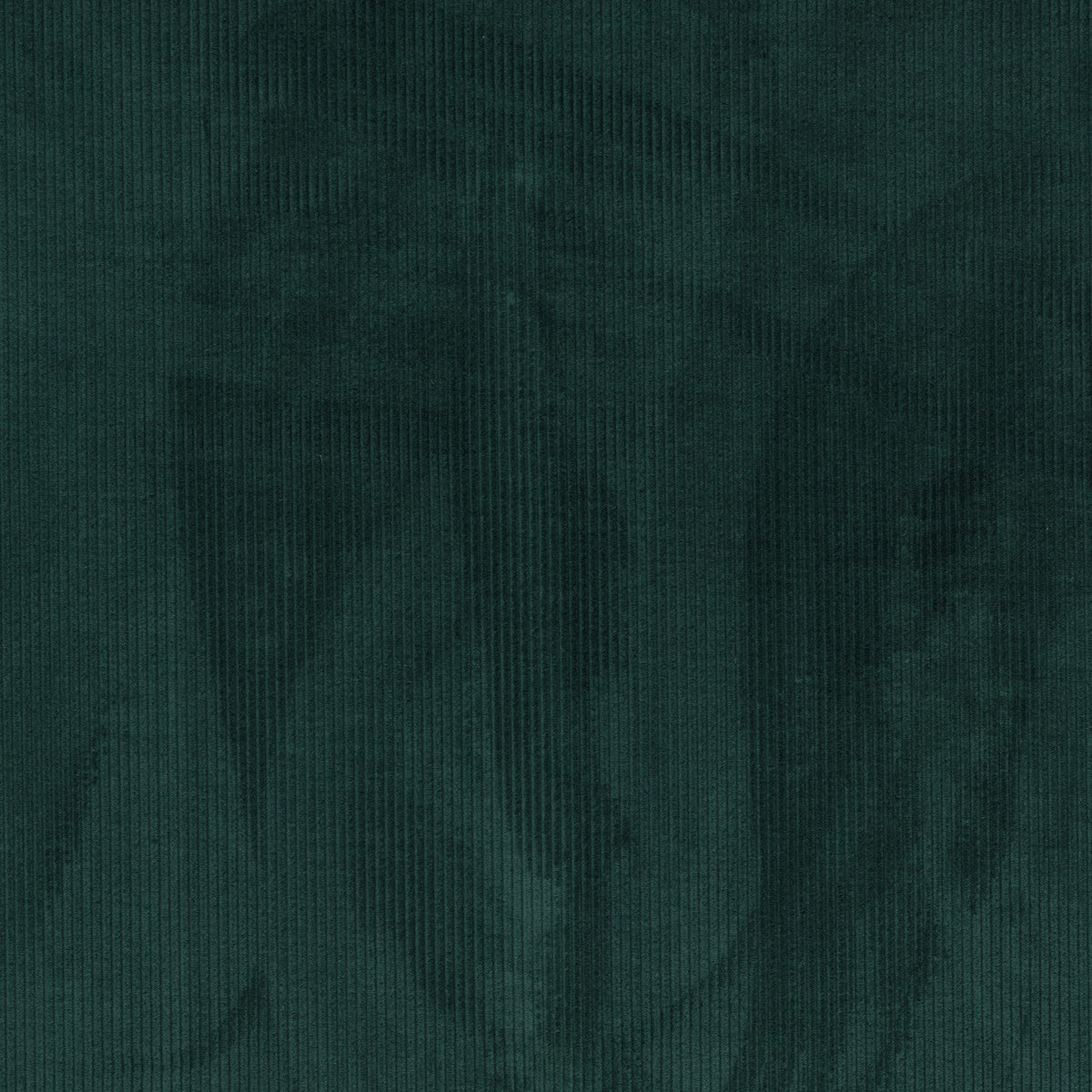 CORDUROY – coloris Vert nordmann