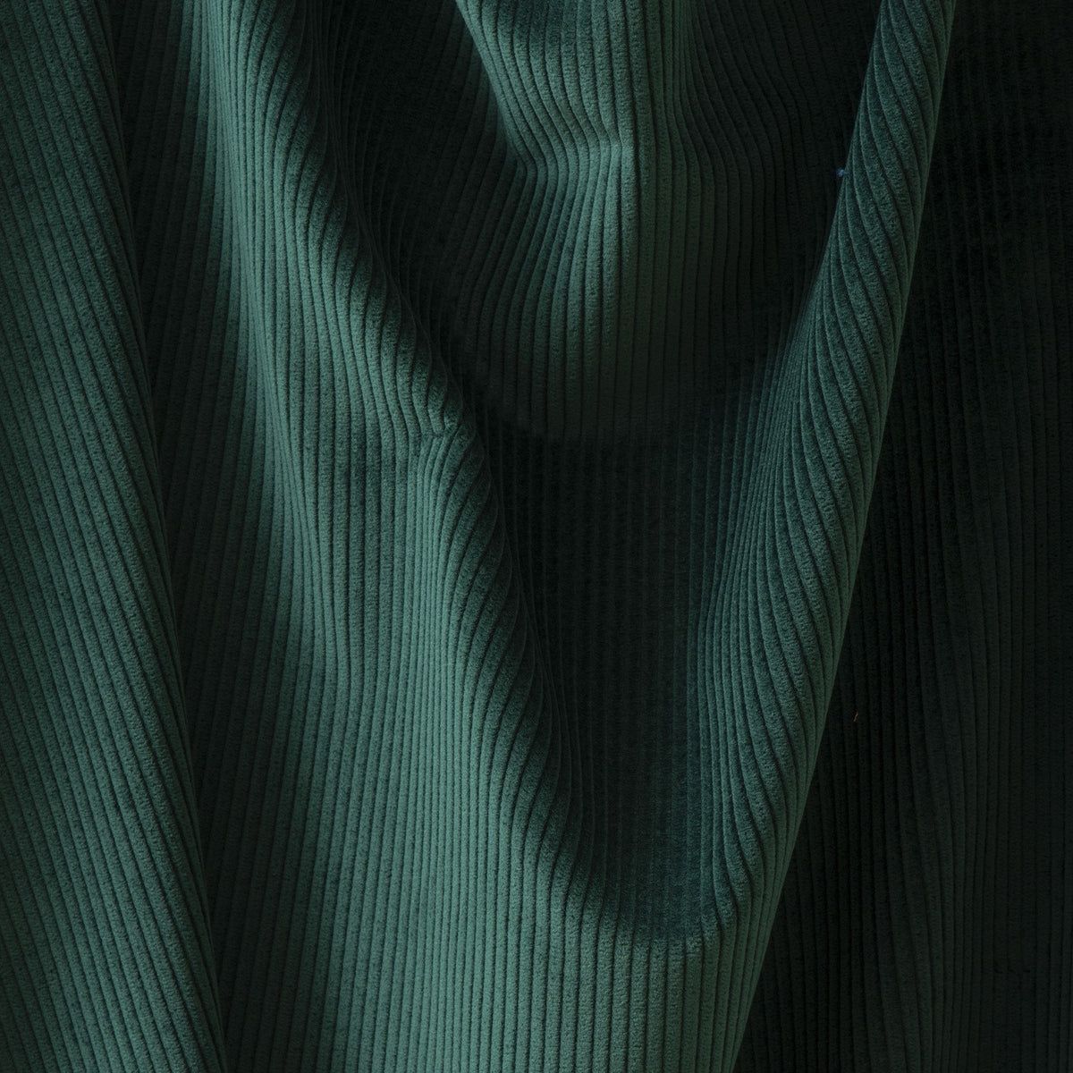 CORDUROY – coloris Vert nordmann