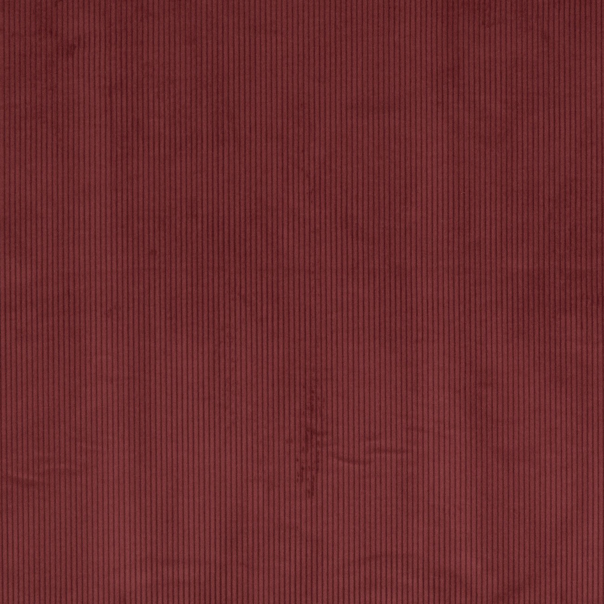 CORDUROY – coloris Bronze