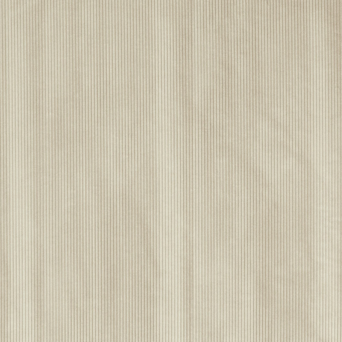 CORDUROY – coloris Craie