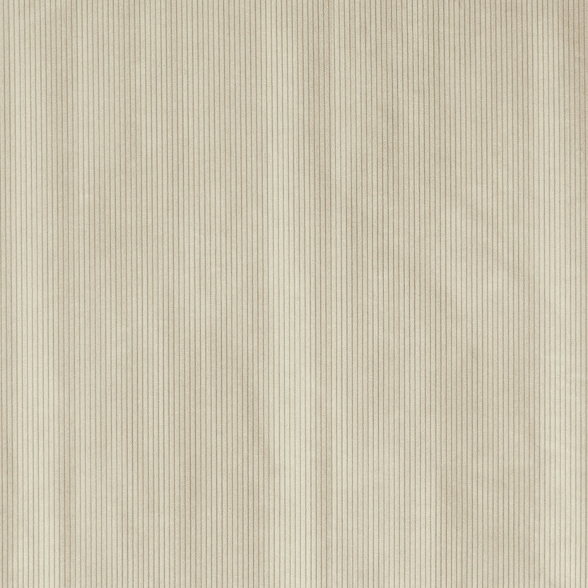 CORDUROY – coloris Craie