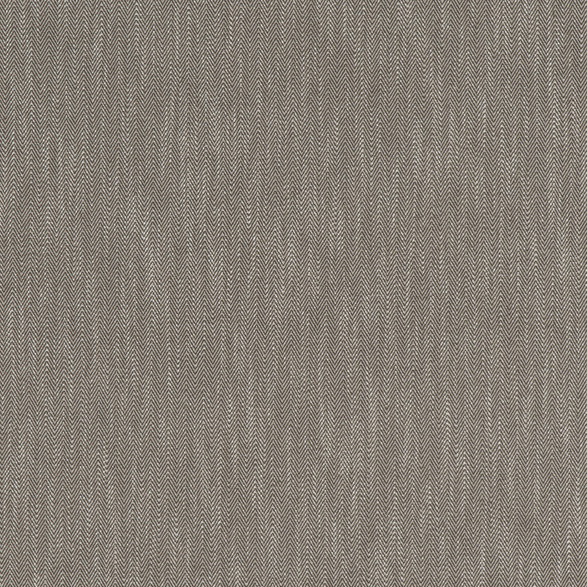 CHARLES – coloris Taupe