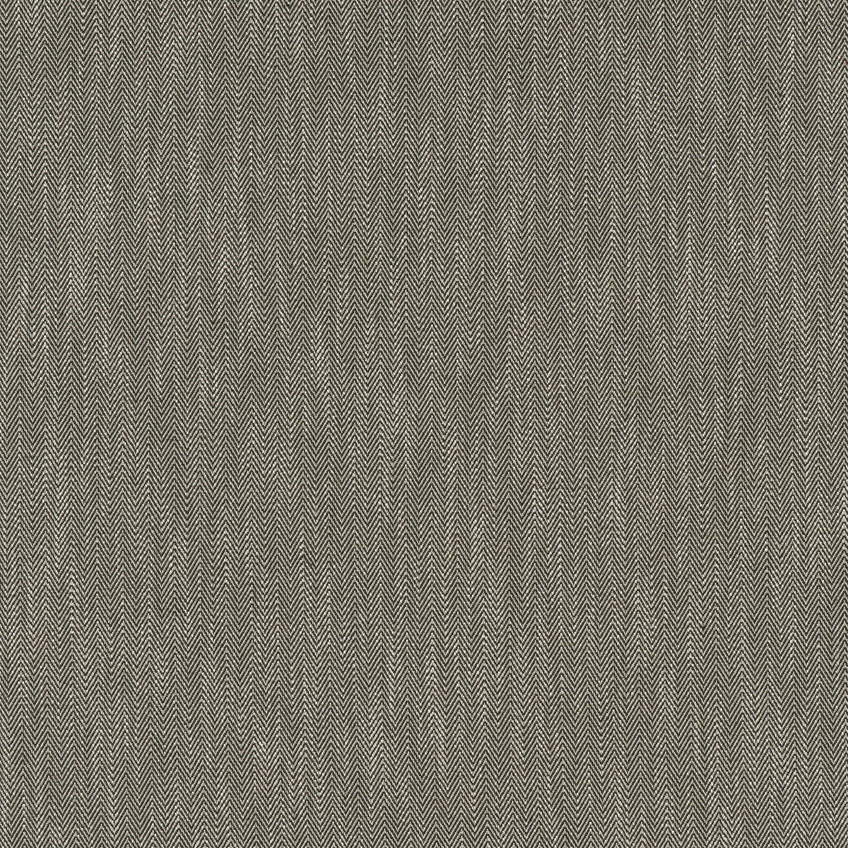 CHARLES – coloris Vert sylvestre