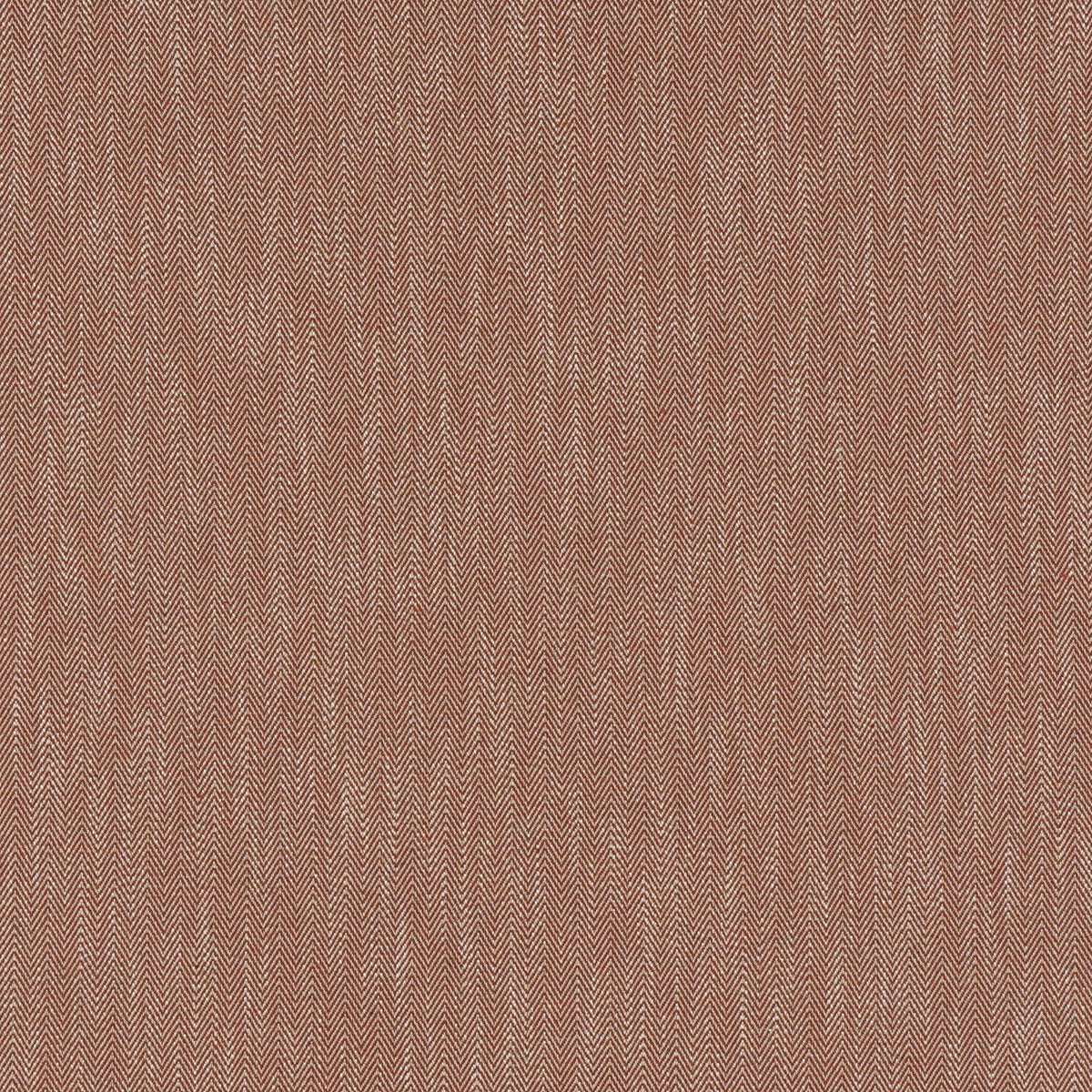 CHARLES – coloris Orange brulee