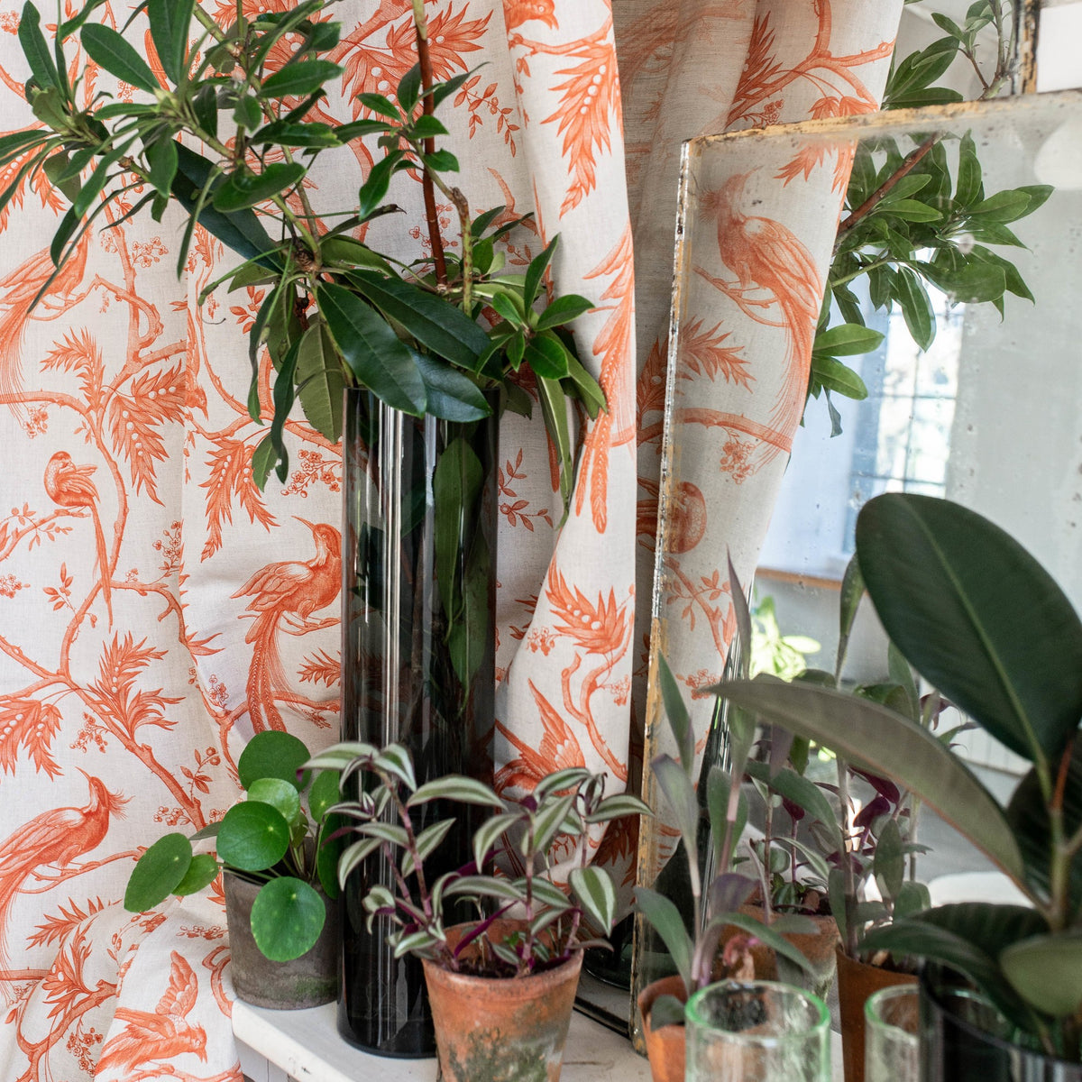 PARADISE – coloris Orange