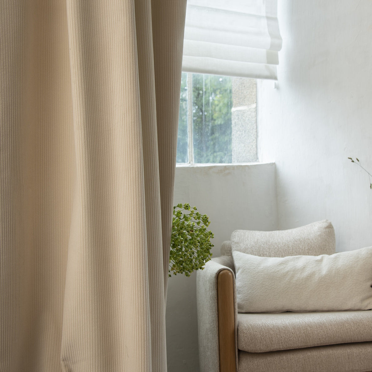 CORDUROY – coloris Craie