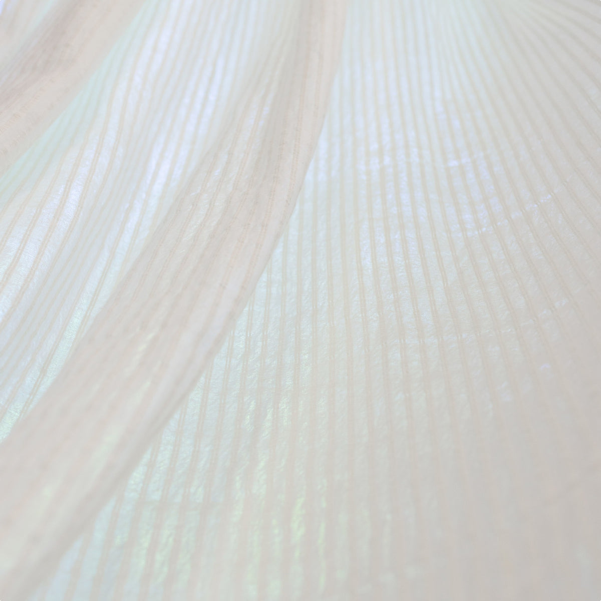 LIZ – coloris Naturel