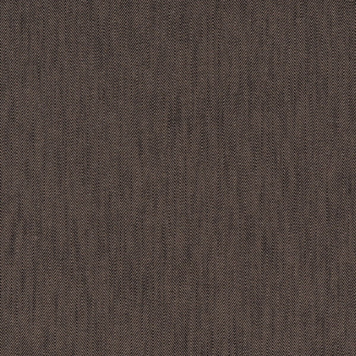 CHARLES – coloris Noix
