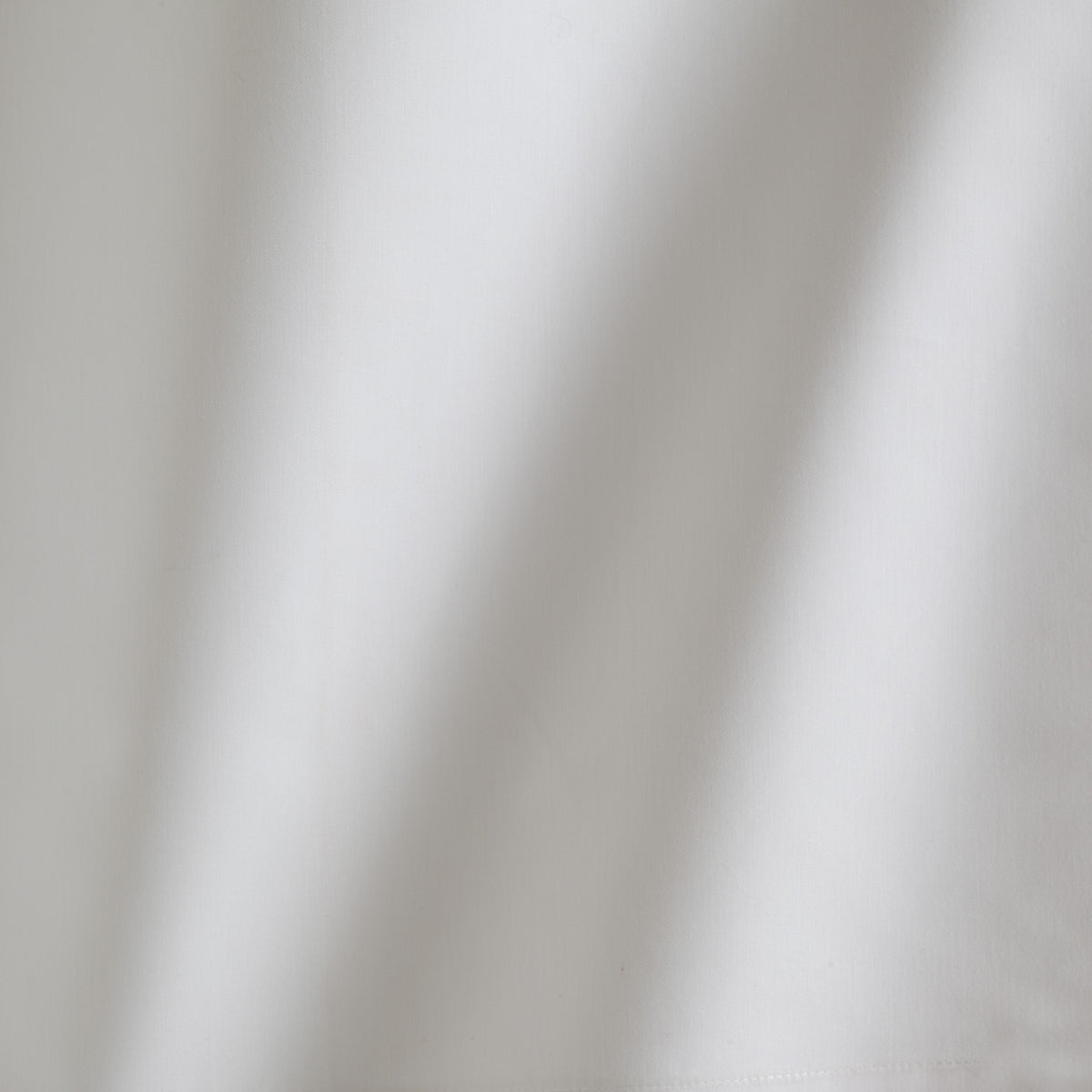 CHINTZ – coloris Blanc