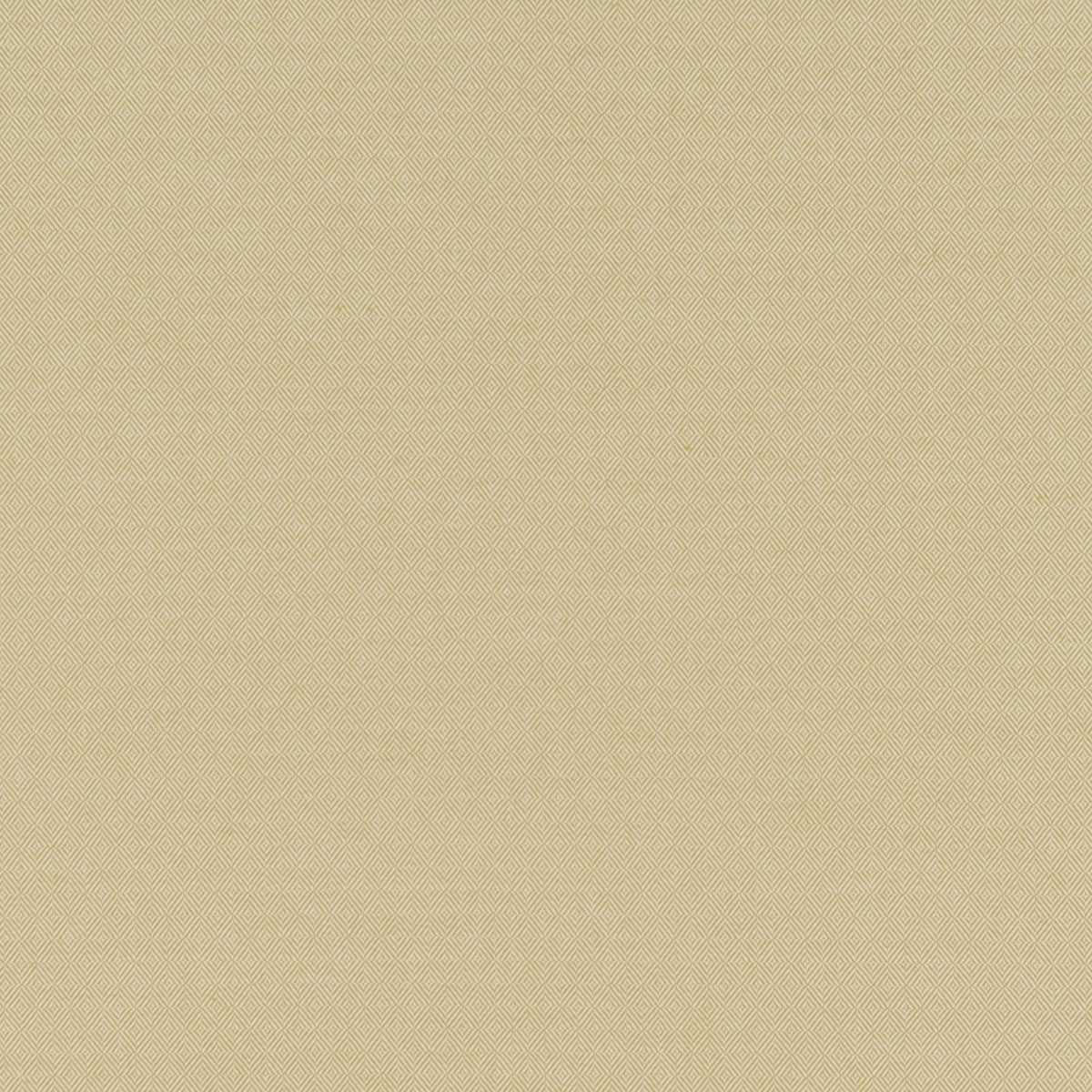 EDMOND – coloris Vert anis