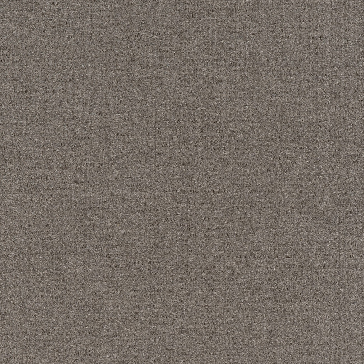 OUESSANT – coloris Gris elephant