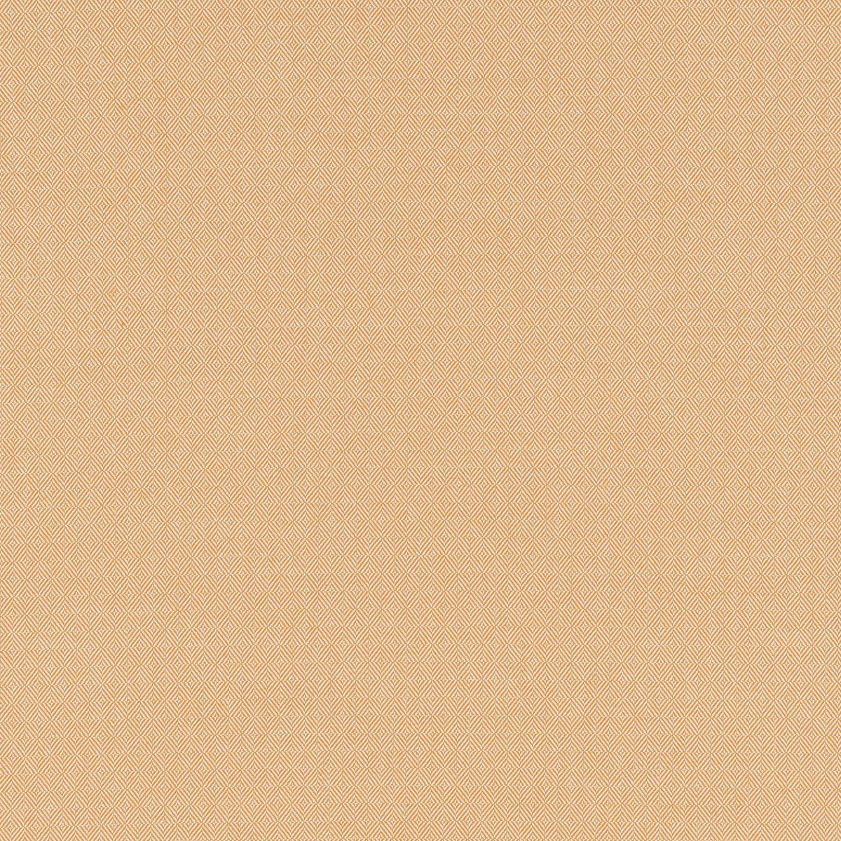 Edmond Jaune Indien - coupe de tissu EDD612