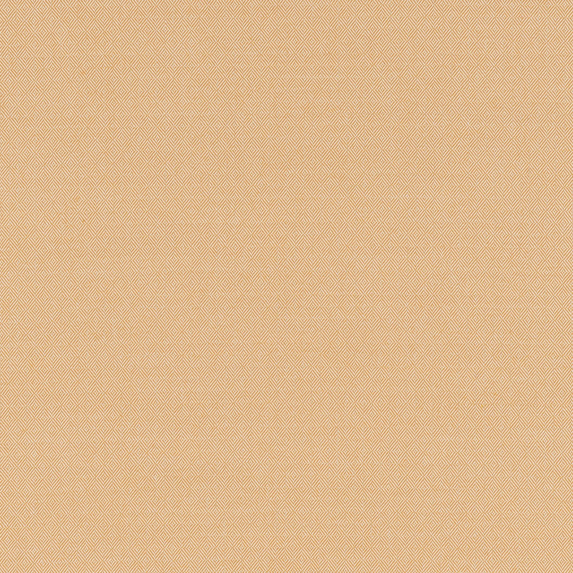 Edmond Jaune Indien - coupe de tissu EDD612